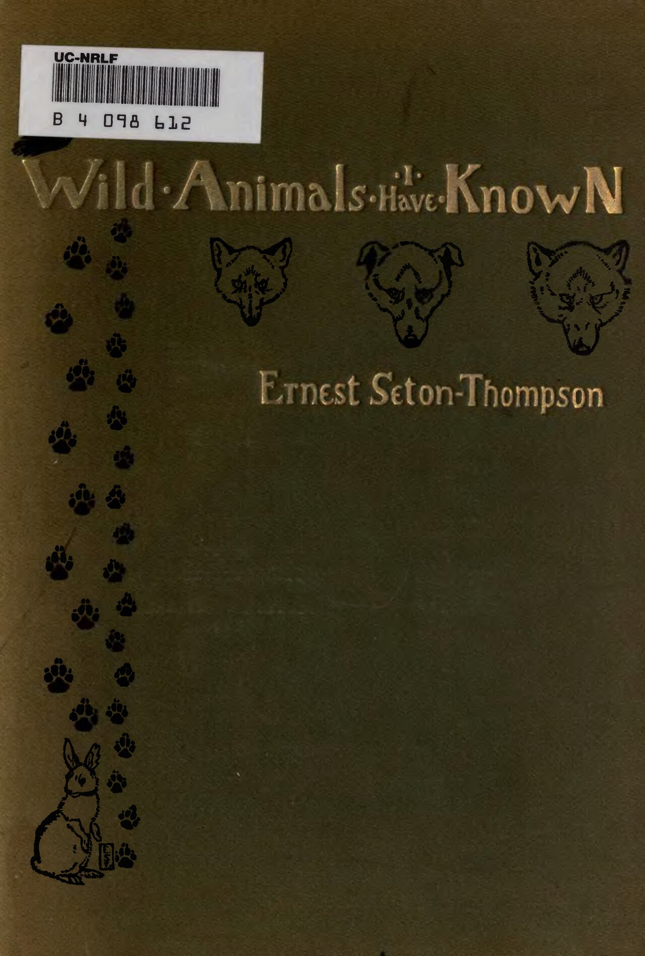 Animal Crossing: Wild World